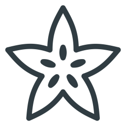 Carambola  Icon