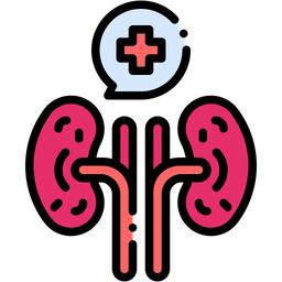 Kidney  Icon