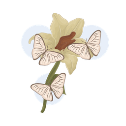 Butterfly  Icon