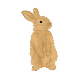 Rabbit  Icon