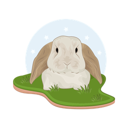 Rabbit  Icon