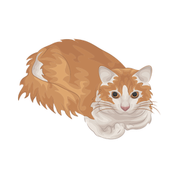 Cat  Icon