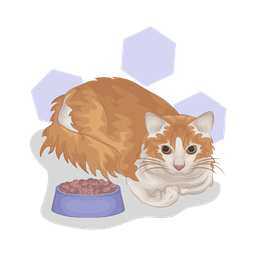 Cat  Icon