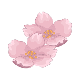 Cherry blossom  Icon