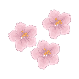 Cherry blossom  Icon