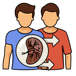 Kidney  Icon