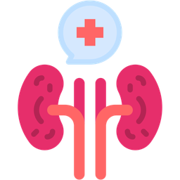 Kidney  Icon