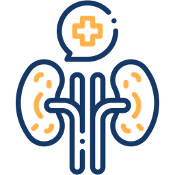 Kidney  Icon