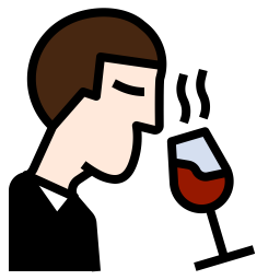 Taste Wine  Icon