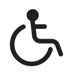 Accessibility  Icon