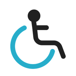 Accessibility  Icon