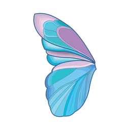 Fairy wings  Icon