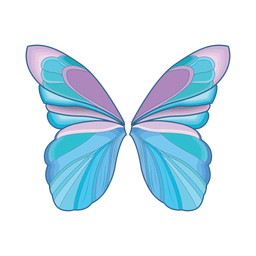 Fairy wings  Icon