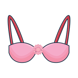 Bra  Icon