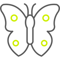 Butterfly  Icon