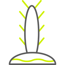 Cactus  Icon