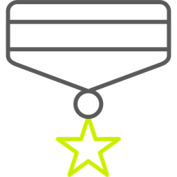 Army medal  Icon