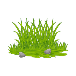 Grass  Icon