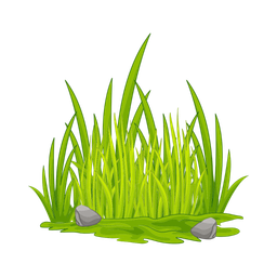 Grass  Icon