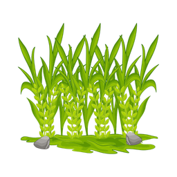 Grass  Icon