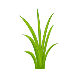 Grass  Icon