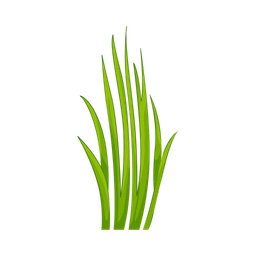 Grass  Icon