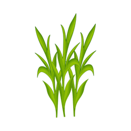 Grass  Icon