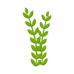 Grass  Icon