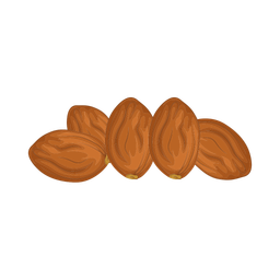 Date fruit  Icon