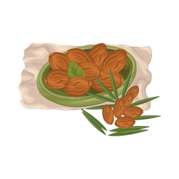 Date fruit  Icon