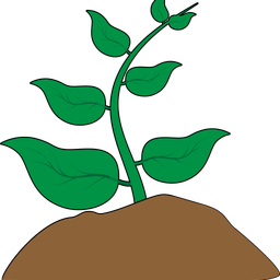 Plant  Icon