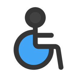 Accessibility  Icon