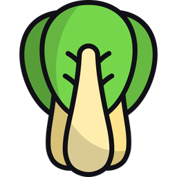 Bok choy  Icon