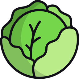 Cabbage  Icon