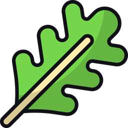 Arugula  Icon