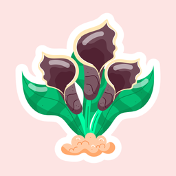 Arum Palaestinum  Icon