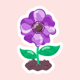 Anemone Coronaria  Icon