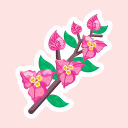 Bougainvillea  Icon