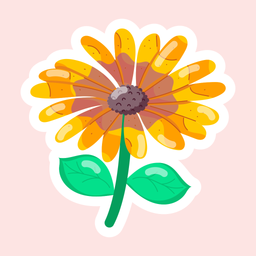 African Daisy  Icon