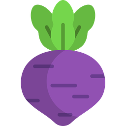 Beetroot  Icon