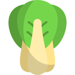 Bok choy  Icon