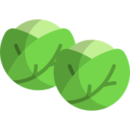 Brussels sprouts  Icon