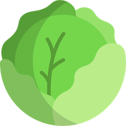 Cabbage  Icon