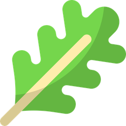 Arugula  Icon