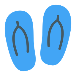 Flip flops  Icon