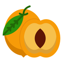 Stone Fruit Orange Colored Dried Apricots Icon