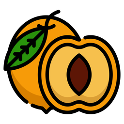 Stone Fruit Orange Colored Dried Apricots Icon