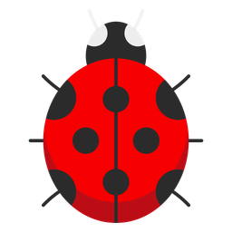 Ladybird  Icon