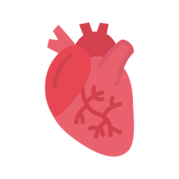 Cardiology  Icon