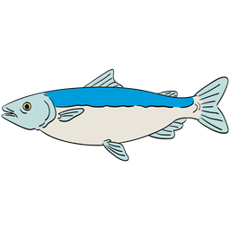 Fish  Icon